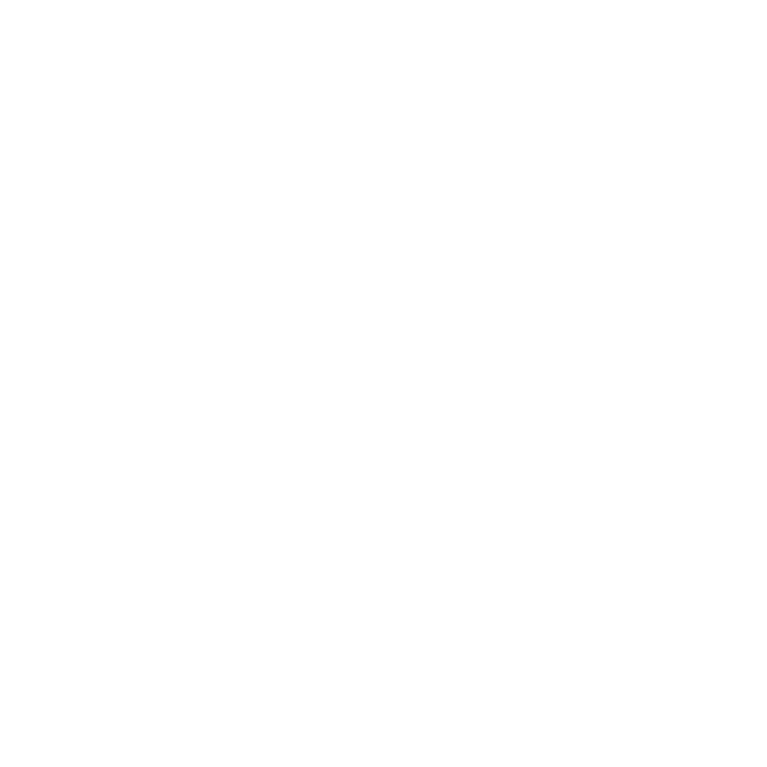 ANEIROM